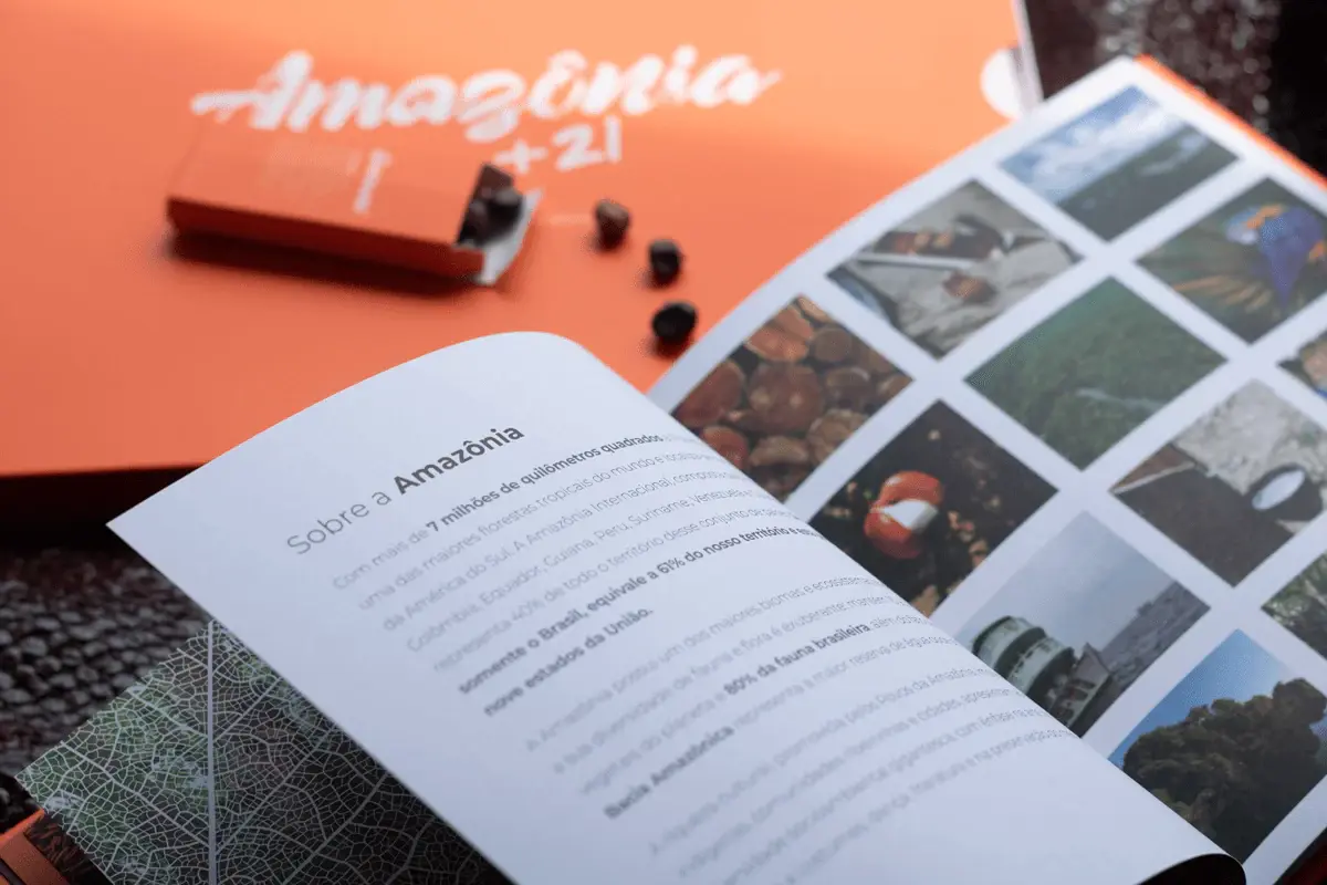 Revista