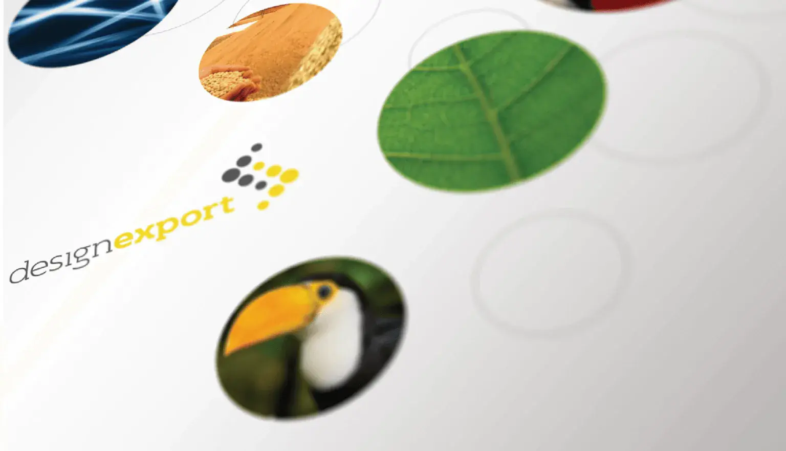Projeto de Branding e Identidade Visual: Programa Design Export (DEX)