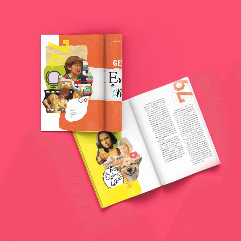Revista