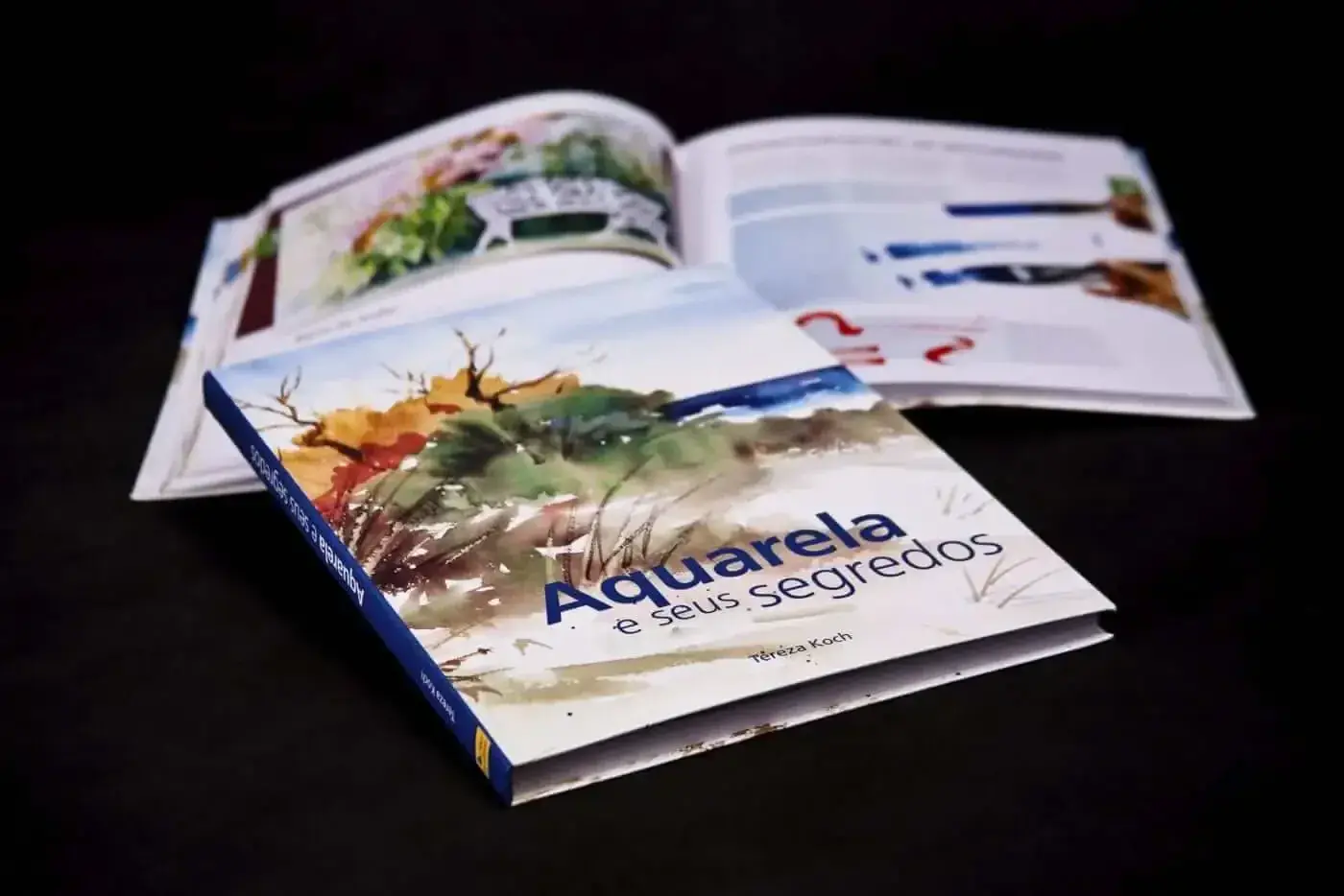 Projeto de Design Editorial e Diagramação: Livro Aquarela