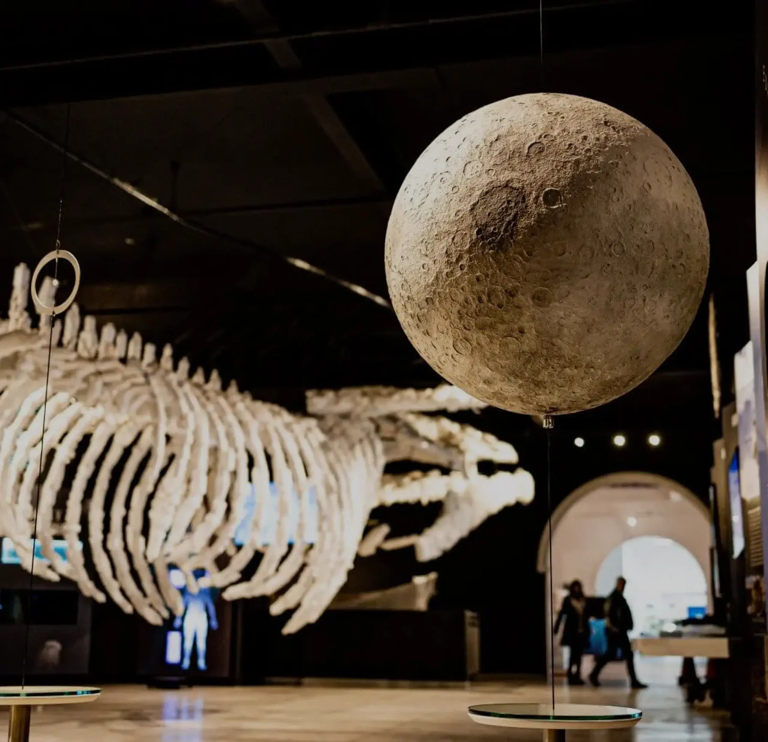 Portfólio de Museografia e Experiência