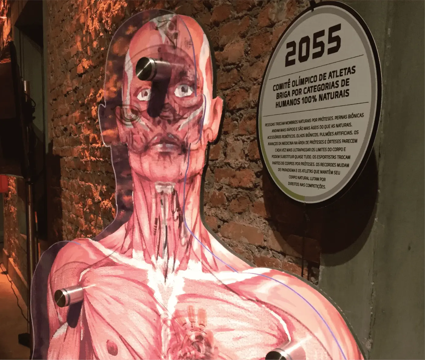 Corpo Humano